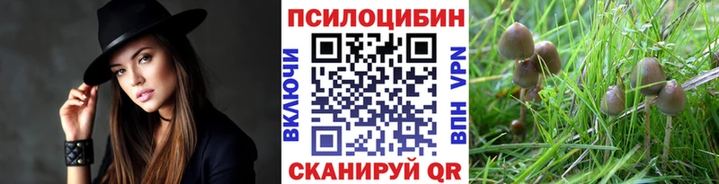 Псилоцибиновые грибы мицелий  как найти   Слободской 